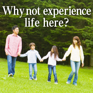 Why not experience life here?